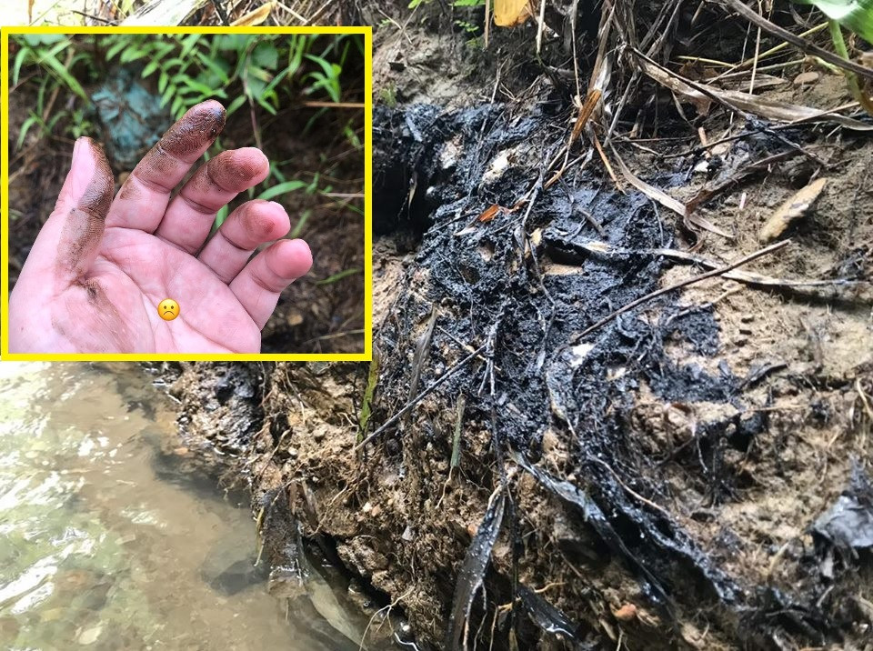 Da tim ra nguyen nhan khien nuoc may Ha Noi boc mui la