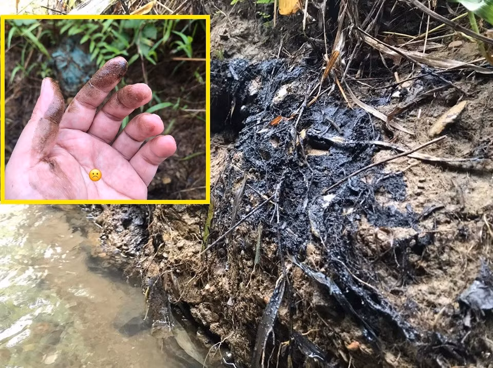 Da tim ra nguyen nhan khien nuoc may Ha Noi boc mui la