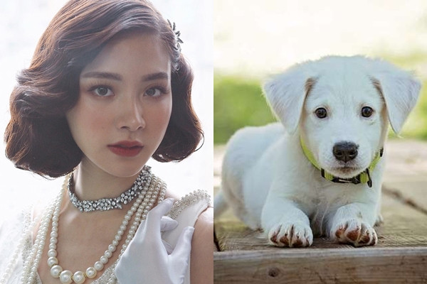  Tuổi Tuất: Những người tuổi Tuất có tham vọng rất lớn trong cuộc sống và sự nghiệp. Họ có chí tuệ hơn người, rất thông minh và biết rõ mình phải làm gì để có thể đạt được mục tiêu. Tuất sống chân thành, tình cảm, tuy nhiên đôi khi sự xốc nổi, cố chấp khiến tuổi Tuất dễ phải chịu thua thiệt so với người khác.