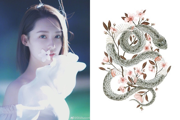 Khi càng có tuổi, Tỵ sẽ càng trưởng thành, biết tiết chế bản thân. Những vấp ngã khi trẻ trở thành bài học để họ bước tiếp trong tương lai.