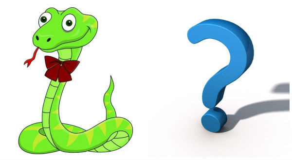  Tuổi Tỵ: Trong 12 con giáp thì người tuổi Tỵ vốn lợi thích hợp với các ngành nghề kinh doanh. Trong dịp Tết nguyên đán màu áo phù hợp cho những người tuổi Tỵ chính là màu vàng, hoặc màu cam. Bạn sẽ có một năm mới hanh thông phát tài hơn rất nhiều. 