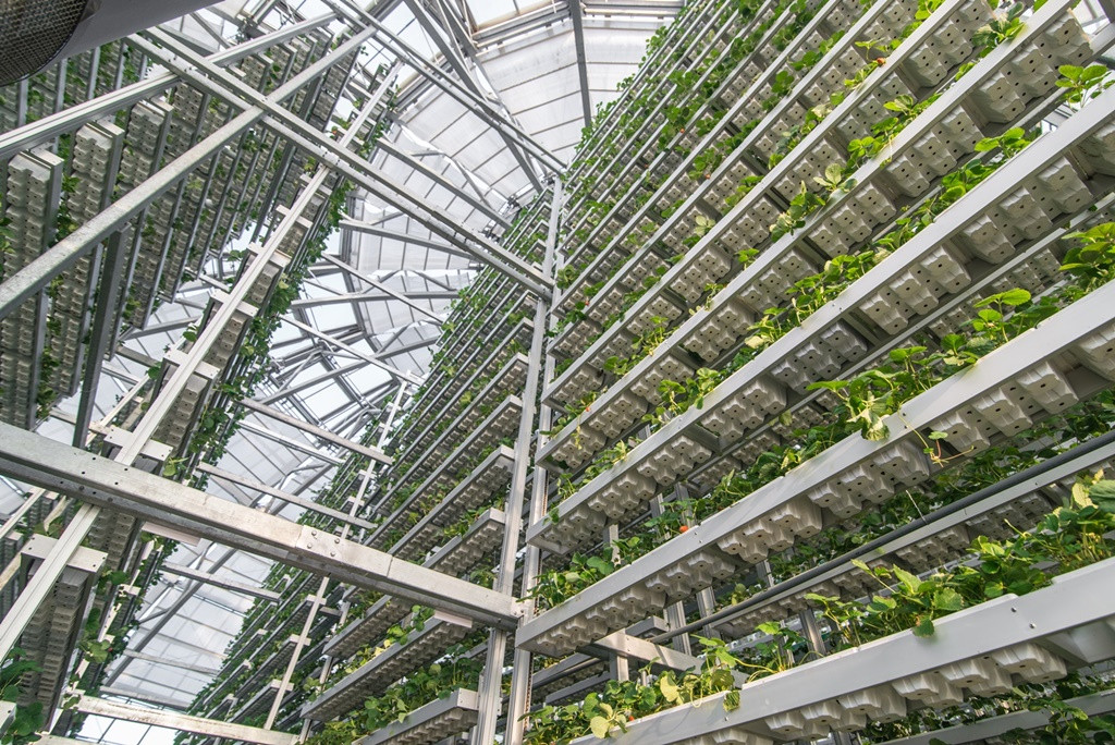 Kham pha nong nghiep hang dau the gioi ben trong Vineco Nam Hoi An-Hinh-5