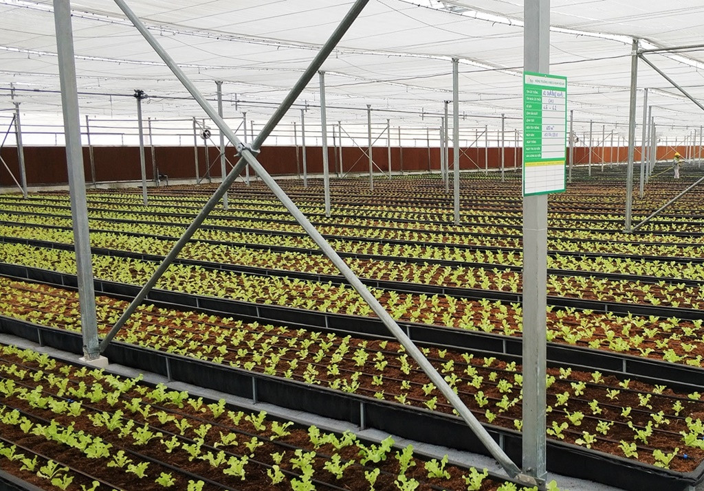 Kham pha nong nghiep hang dau the gioi ben trong Vineco Nam Hoi An-Hinh-8