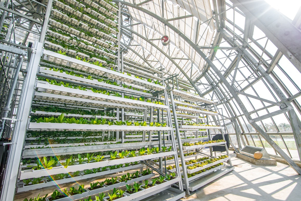 Kham pha nong nghiep hang dau the gioi ben trong Vineco Nam Hoi An-Hinh-4