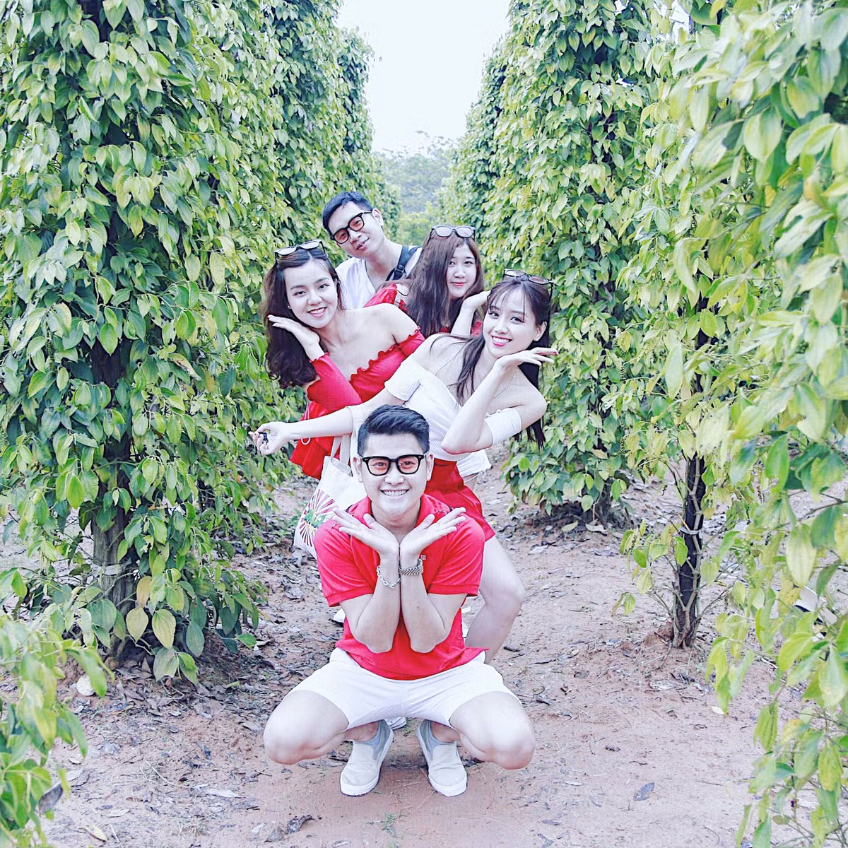 Cap treo Hon Thom giam sau gia ve tri an du khach mien Tay-Hinh-4