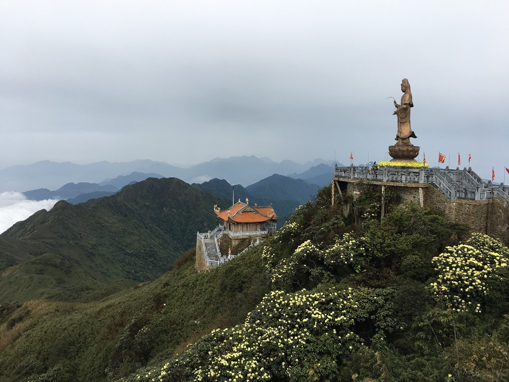Rời khu vực ga đi, băng qua rừng Hoàng Liên trên cáp treo tới gần khu vực đỉnh, sẽ lại ngạc nhiên hơn nữa, khi thấy những vạt đỗ quyên vàng đổ dài theo triền núi như thác hoa nơi chân tượng Quan Thế Âm.