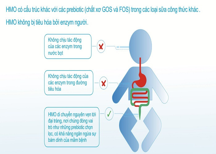 Bo sung HMO de tre khoe manh