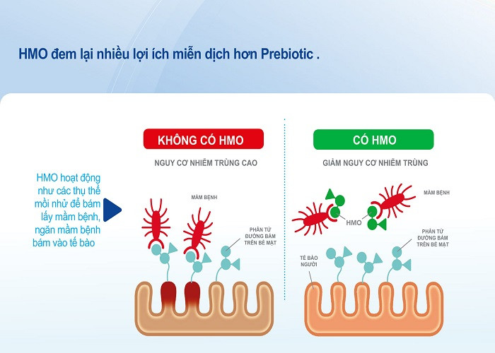 Bo sung HMO de tre khoe manh-Hinh-2