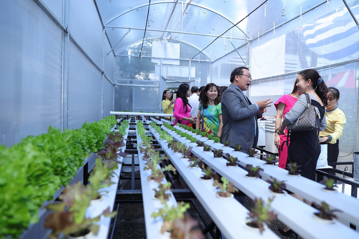 Truong THCS Le Quy Don TP. HCM don nhan huan chuong lao dong hang II-Hinh-5