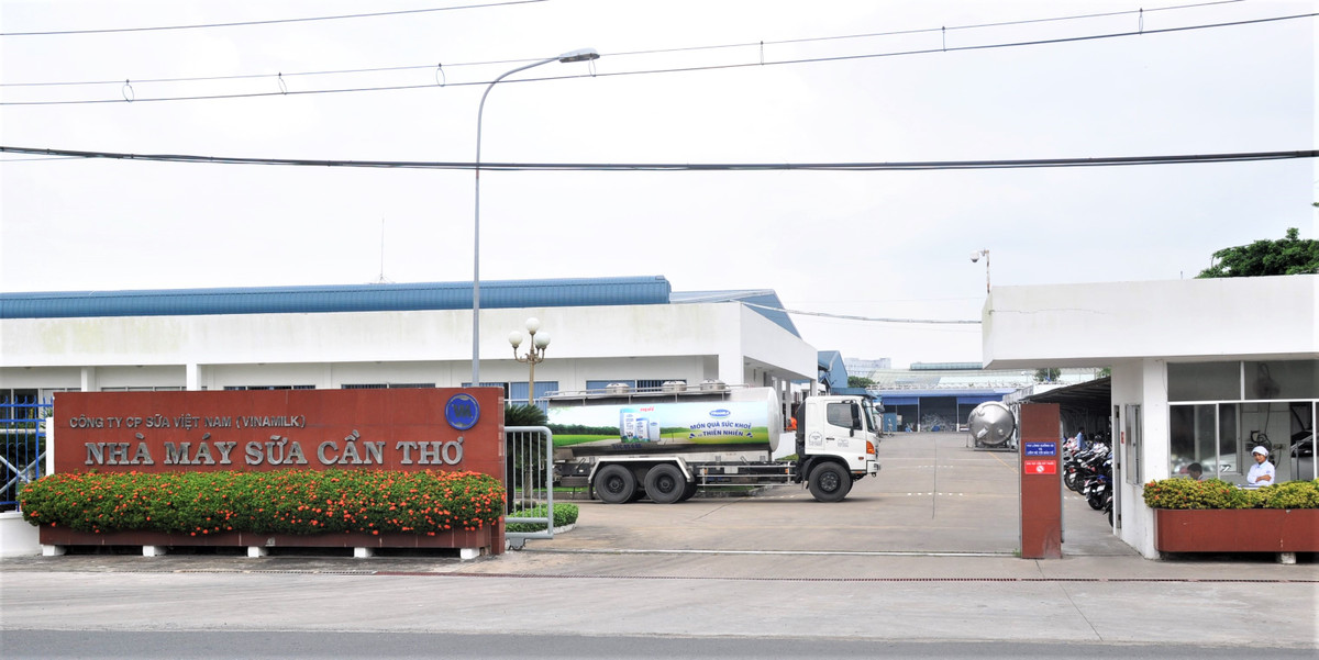 Vinamilk hop tac dau tu vao nong truong Song Hau, Can Tho-Hinh-4