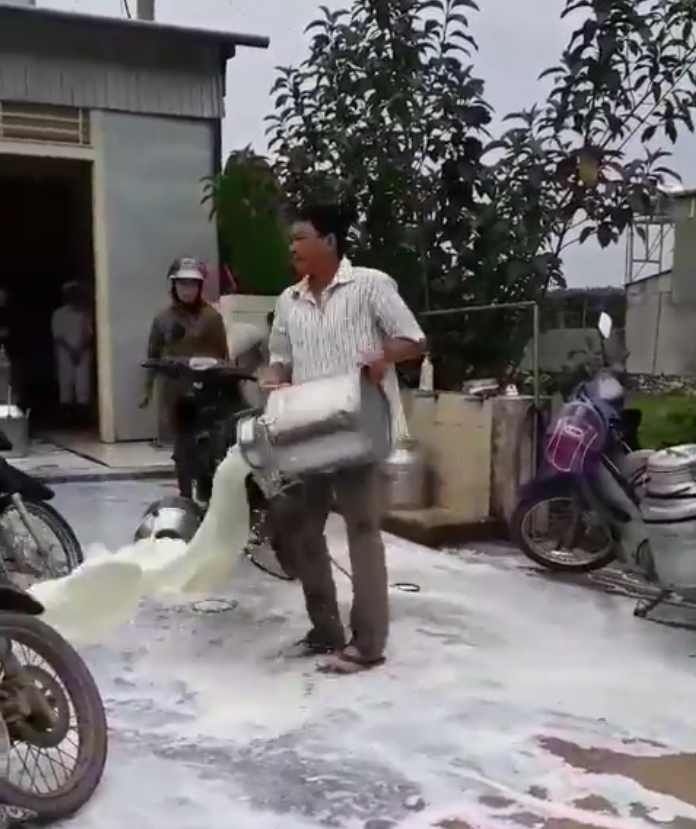 Người đàn ông tên Đức đổ sữa trước điểm thu mua của Vinamilk đóng tại Thái Hòa.