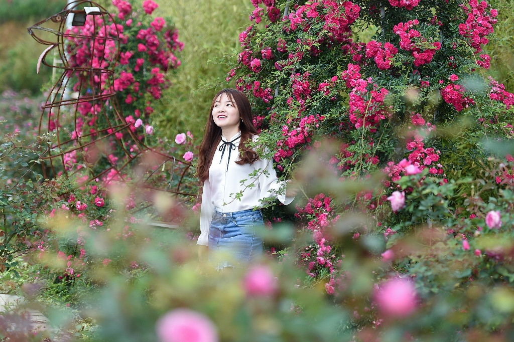 … mà còn để mải mê check-in giữa bạt ngàn sắc đỏ, sắc hồng ấy. Với các cô gái lãng mạn, đây giống như một vườn hồng được trồng riêng tặng họ.