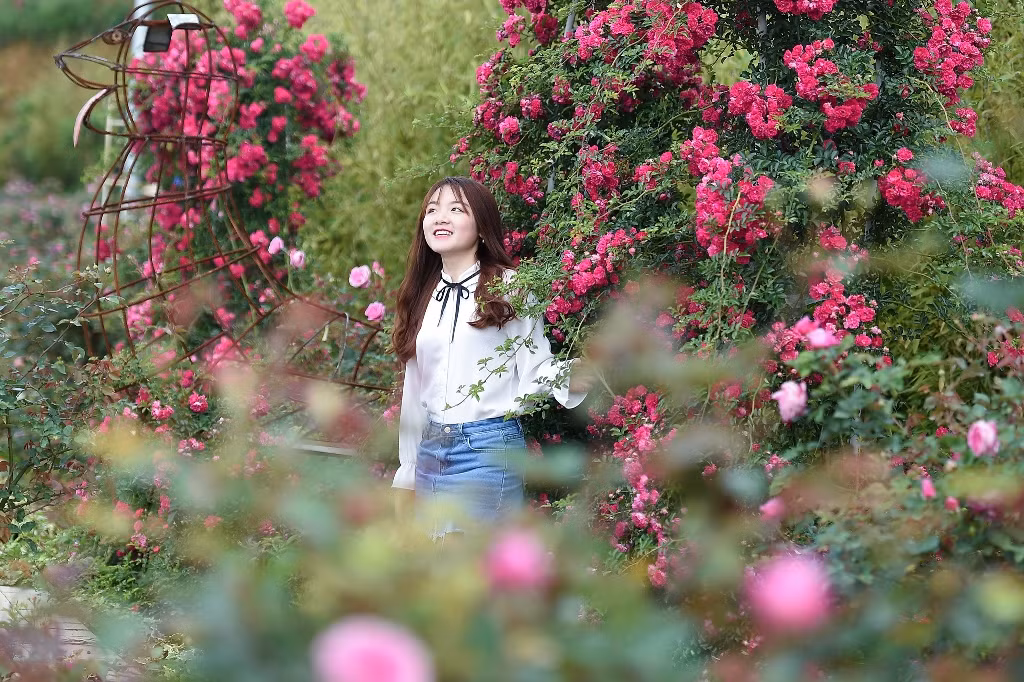 … mà còn để mải mê check-in giữa bạt ngàn sắc đỏ, sắc hồng ấy. Với các cô gái lãng mạn, đây giống như một vườn hồng được trồng riêng tặng họ.