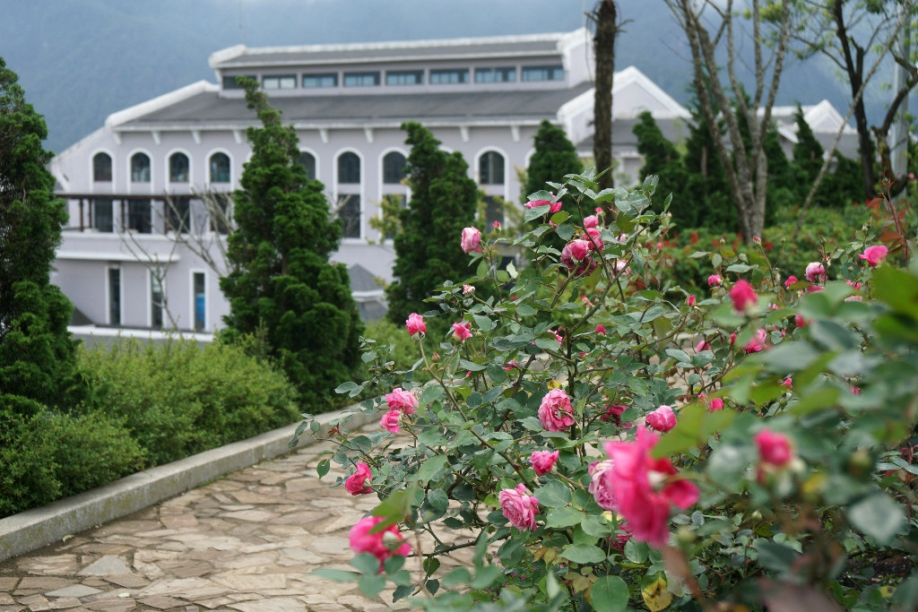 Đặc biệt, để có được những gốc hồng cổ quý hiếm, nhân viên cảnh quan của khu du lịch đã phải săn tìm rất lâu trong các làng bản, thậm chí phải thuyết phục dân bản mới có thể sưu tầm được những gốc hoa vài chục năm tuổi.