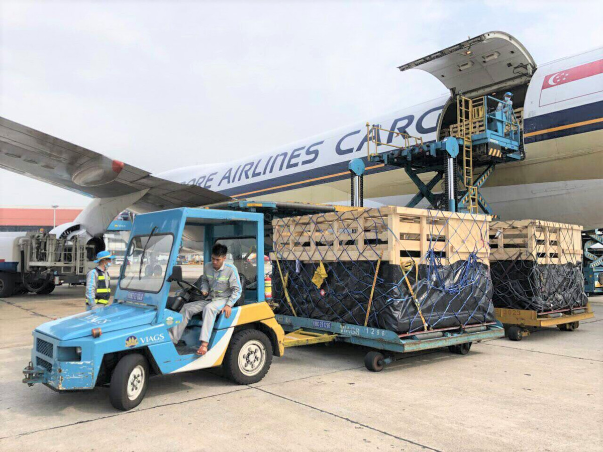 Vinamilk nhap lo bo A2 thuan chung dau tien tu Newzealand-Hinh-2