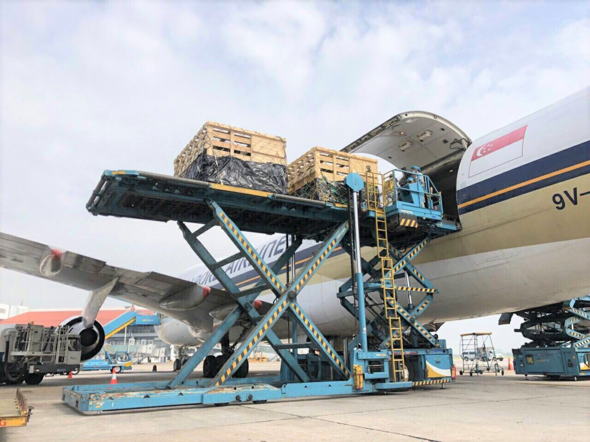 Vinamilk nhap lo bo A2 thuan chung dau tien tu Newzealand-Hinh-3