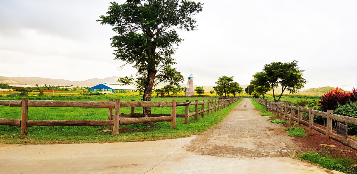 Vinamilk mo rong dau tu vao Tay Nam Bo