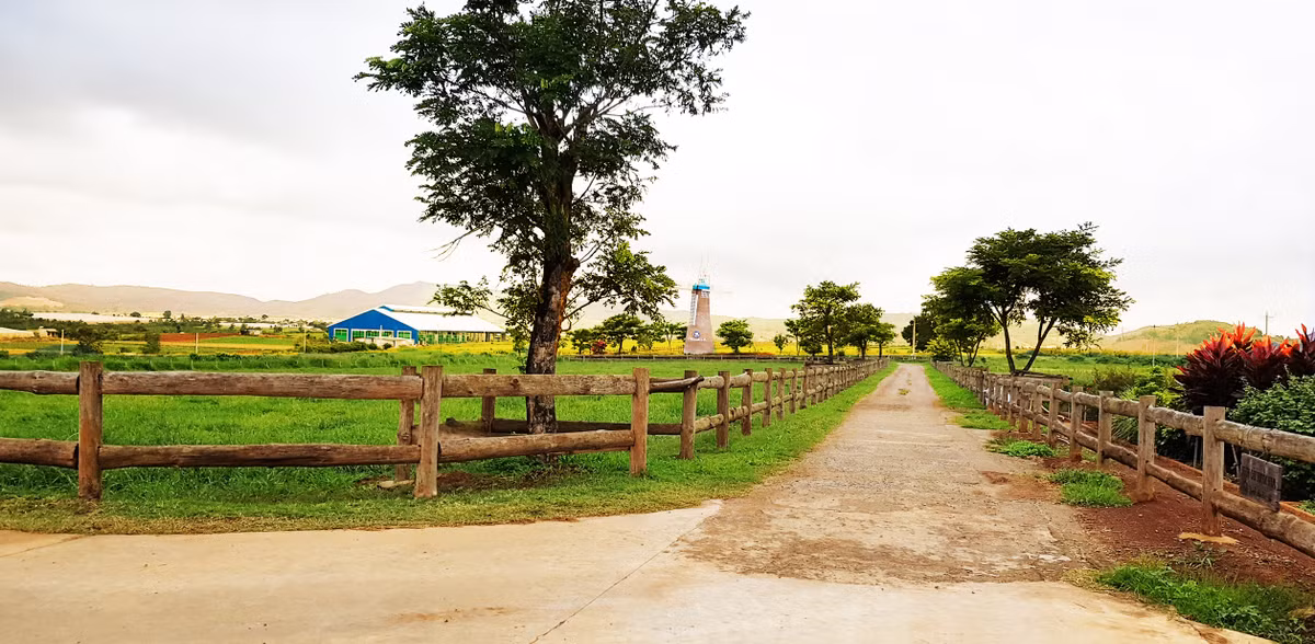 Vinamilk mo rong dau tu vao Tay Nam Bo
