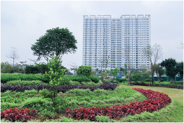 Ong lon bat dong san tro lai, thi truong trong doi dieu gi?-Hinh-2