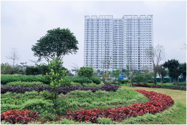 Ong lon bat dong san tro lai, thi truong trong doi dieu gi?-Hinh-2