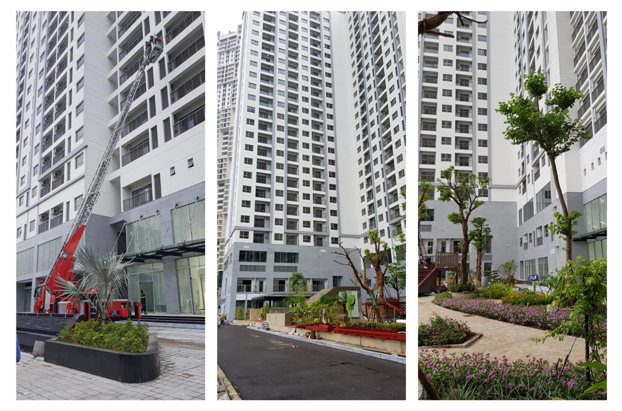 Ong lon bat dong san tro lai, thi truong trong doi dieu gi?