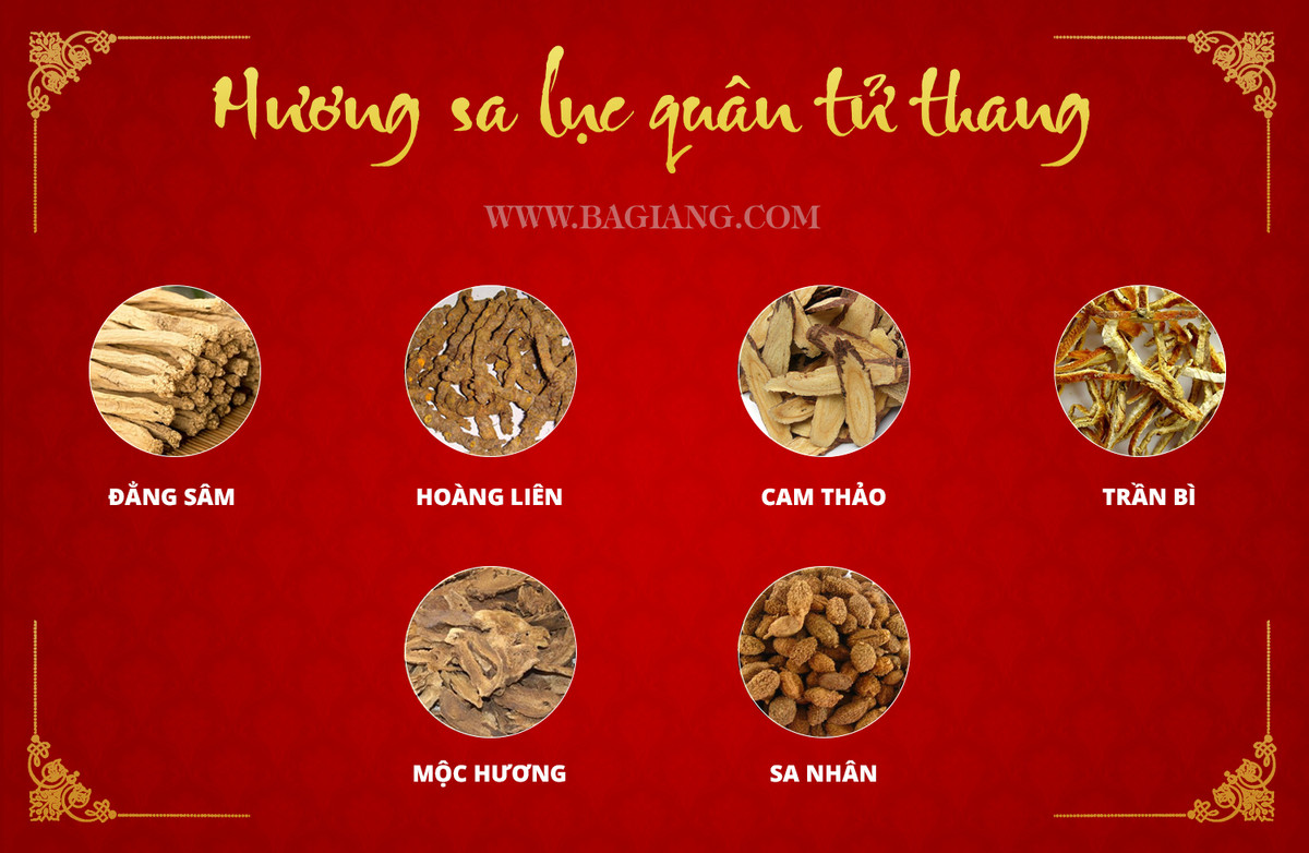 Hai bai thuoc quy chua benh tieu hoa trong Dai Trang Ba Giang