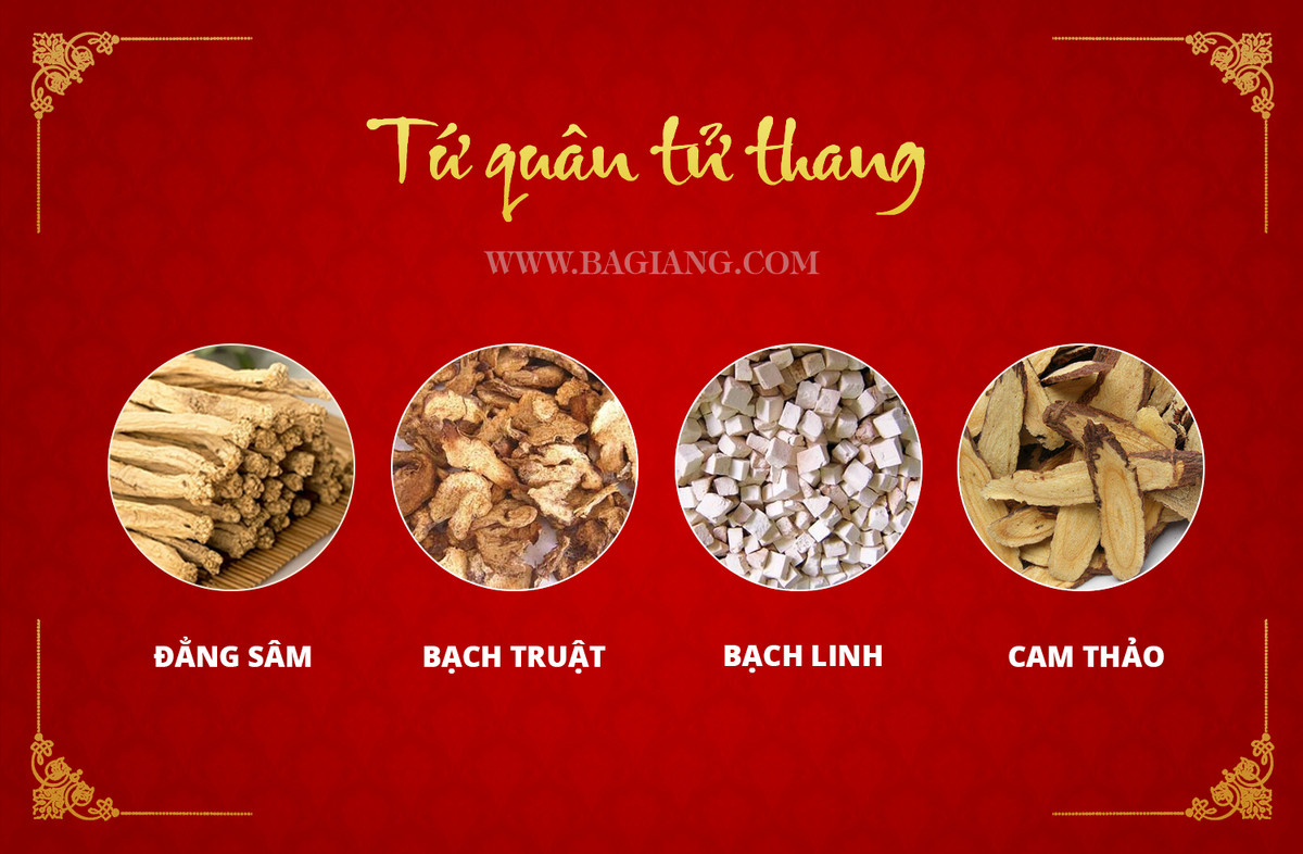 Hai bai thuoc quy chua benh tieu hoa trong Dai Trang Ba Giang-Hinh-2