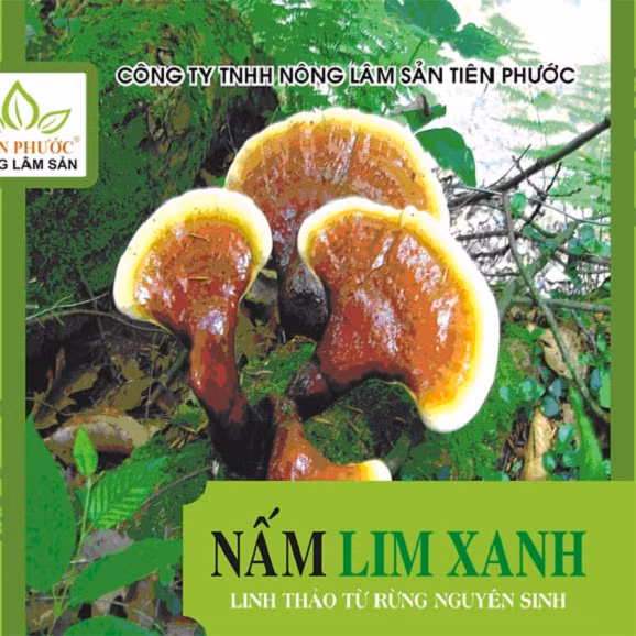 Nam lim xanh rung Tien Phuoc gia bao nhieu va noi ban uy tin-Hinh-6