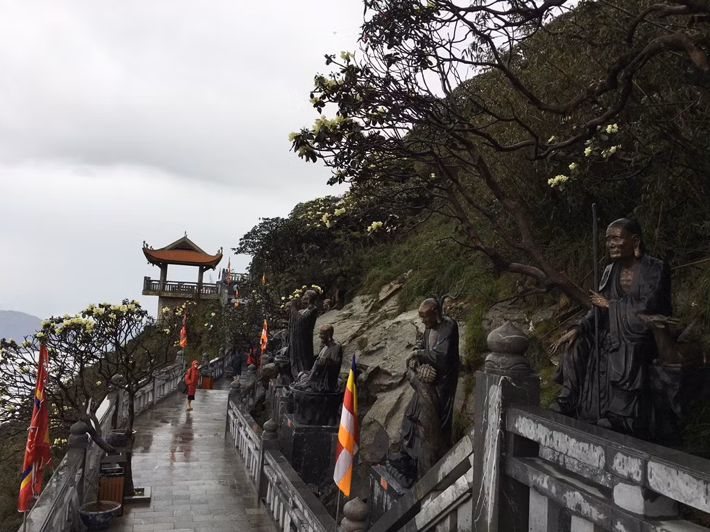 Trên đường La Hán, hoa vàng rực cả triền núi. Thi thoảng, trên lối đi, có cây đỗ quyên ngả ngang mặt người, xòe tặng những chùm hoa vàng tựa như những chiếc chuông nhỏ. Giữa chốn tâm linh trên đỉnh Fansipan, sắc hoa khiến lòng người ấm áp, thanh nhẹ lạ lùng.