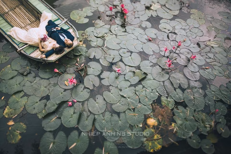 Nếu đến Tràng An mùa này, bạn có thể ngắm hoa súng trổ bông đẹp mơ màng.