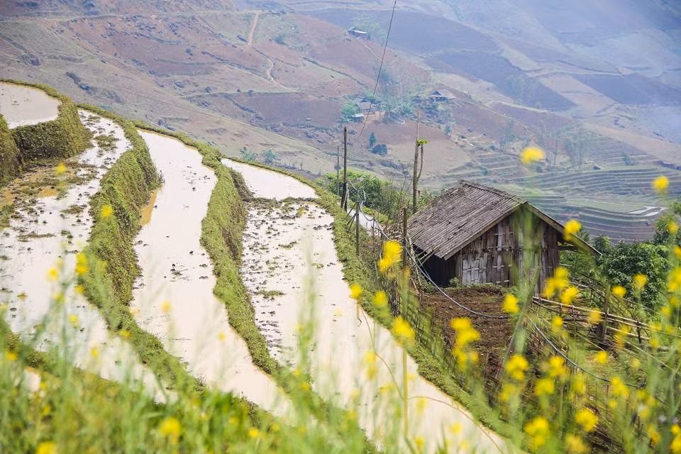 Thấp thoáng trong mây ở miền núi cao, những ngôi nhà của người Hà Nhì mộc mạc với tường màu đất và mái xanh rêu trông thật đẹp. Ảnh: Facebook Nguyen Dai.