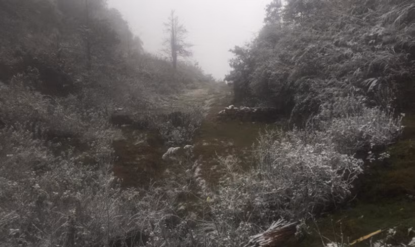 Theo ông Hải, hiện tại mưa tuyết vẫn tiếp tục lan rộng ra các địa phương khác ở Sa Pa. Nhiệt độ ngoài trời khoảng 1 độ C.