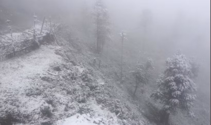 Mưa tuyết rơi xuống khu vực Sa Pa càng lúc càng dày hơn, nhiệt độ cũng hạ thấp xuống.