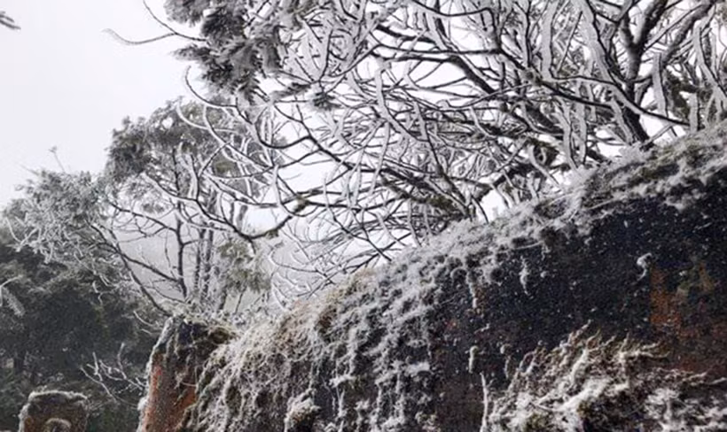 Nhiều khu vực do ảnh hưởng tuyết rơi nên khiến cây cối đóng băng.