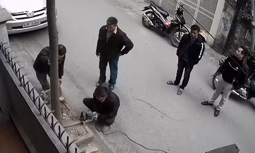 Cán bộ phường mang cưa đến cắt cây khi gia chủ vắng nhà.