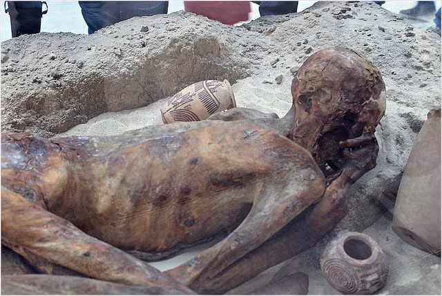 Tại châu Âu, các chuyên gia cũng phát hiện nhiều xác ướp được bảo quản tốt trong các đầm lầy. Các tu sĩ Capuchin sống tại đây đã để lại cho đời hàng trăm xác ướp giúp nhân loại có cái nhìn sâu sắc về phong tục, văn hóa của người dân nơi đây qua các thời kì lịch sử khác nhau.