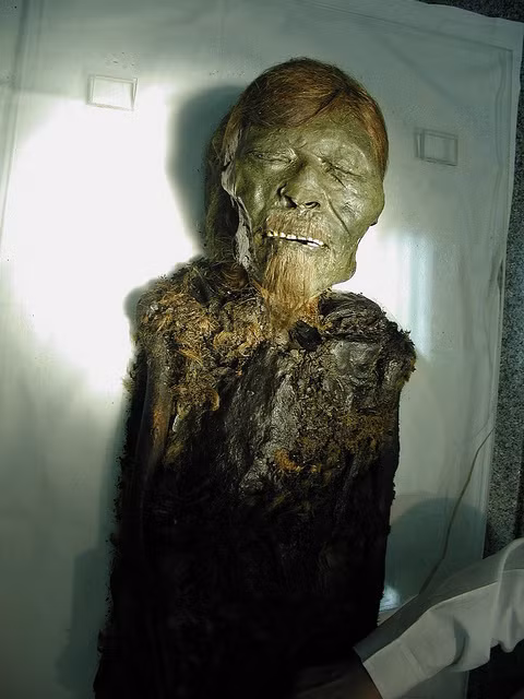 Xác ướp người Siberi là một khám phá thú vị trong giới khảo cổ học. Năm 1993, một nhóm khảo cổ học người Nga do Tiến sĩ Natalia Polosmak dẫn đầu đã phát hiện xác ướp một phụ nữ thuộc chủng tộc Scytho-Siberia ở cao nguyên Ukok thuộc dãy núi Altay gần với biên giới Mông Cổ. Xác này được bảo quản một cách tự nhiên trong thời tiết lạnh giá khắc nghiệt của vùng thảo nguyên Siberi.