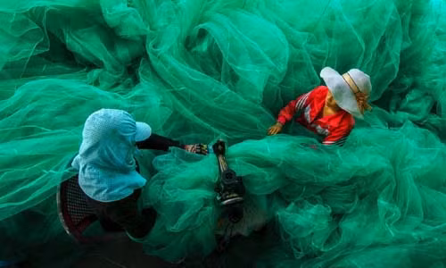 Tạp chí Smithsonian (Mỹ) đã công bố những bức ảnh ấn tượng nhất lọt vào vòng chung kết cuộc thi ảnh quốc tế thường niên lần thứ 12. Cuộc thi có sự tham gia của nhiếp ảnh gia đến từ 96 quốc gia và vùng lãnh thổ. Trong ảnh là tác phẩm phụ nữ Việt Nam sửa lưới đánh cá tại một ngôi làng ở vịnh Vĩnh Hy, Ninh Thuận của tác giả Pham Ty. Bức ảnh này lọt vào vòng chung kết ở hạng mục Con người.