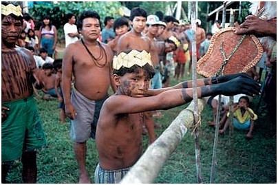 Sau khi hoàn thành nghi lễ đánh dấu việc trở thành đàn ông đích thực, bàn tay của các bé trai bộ tộc Satere Mawe thường bị tê dại, đau đớn, ốm trong suốt một khoảng thời gian.