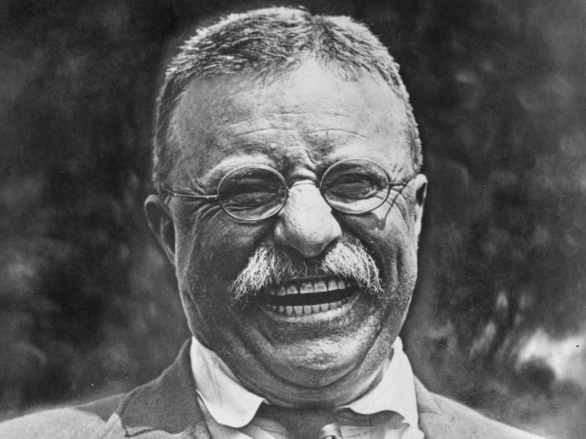 Theodore Roosevelt (nhiệm kỳ 1901 - 1909) là tổng thống Mỹ thứ 26 và là ông chủ Nhà Trắng trẻ nhất trong lịch sử cường quốc số 1 thế giới. Ông có chỉ số IQ là 149. Tổng thống Roosevelt nổi tiếng với câu nói về chính sách đối ngoại: "Nói chuyện nhẹ nhàng nhưng hãy mang theo cây gậy lớn".