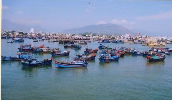 Về nghề nghiệp: Những người sinh ngày 10/3 thường khá hợp với công việc trong lĩnh vực kinh doanh, tài chính và hàng hải.