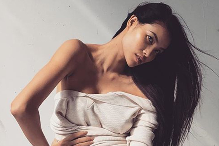 Phía người hâm mộ rất mong chờ nàng hoa hậu gốc Hải Phòng sớm trở lại Việt Nam để hoạt động nghệ thuật.