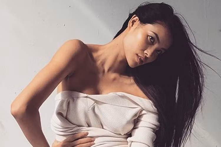 Phía người hâm mộ rất mong chờ nàng hoa hậu gốc Hải Phòng sớm trở lại Việt Nam để hoạt động nghệ thuật.