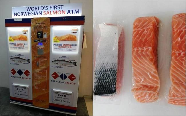 Mới đây, tại Singapore đã có ATM cá hồi đầu tiên trên thế giới. Máy do một công ty địa phương vận hành.