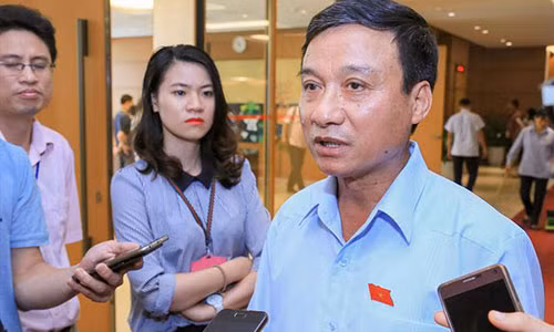 Dai bieu Quoc hoi len tieng vu 'cuong hon' chi bi phat 200 nghin dong-Hinh-2