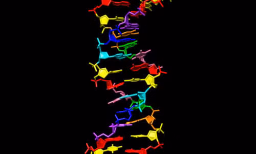 Truy tim su song ngoai hanh tinh tu DNA 
