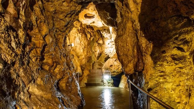 Zsolt và Geza Peladi là cháu của một phụ nữ Đức cực kỳ giàu có. Tuy nhiên, họ bị dòng tộc ghẻ lạnh và sống một cuộc sống vô gia cư nghèo hèn. 2 thanh niên bỗng chốc trở nên giàu có khi người bà của mình chết nhưng không có ai thừa hưởng tài sản. Họ được thừa hưởng 5,52 tỷ USD (hơn 100.000 tỷ VND).