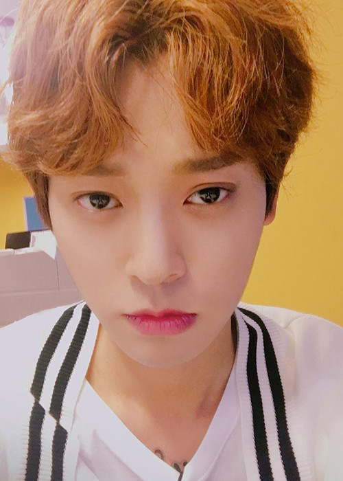 Jung Joon Young từng đến Việt Nam biểu diễn vào tháng 4 năm 2016.