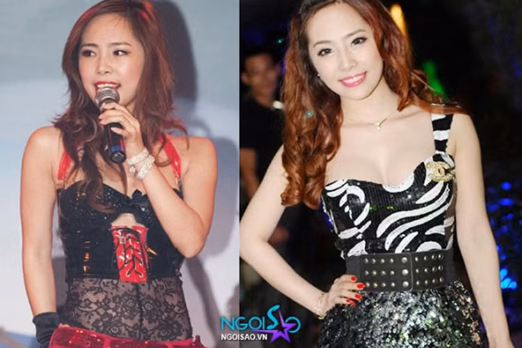 Nữ ca sĩ ngày càng xinh đẹp, quyến rũ. Ảnh: Gia đình Việt Nam