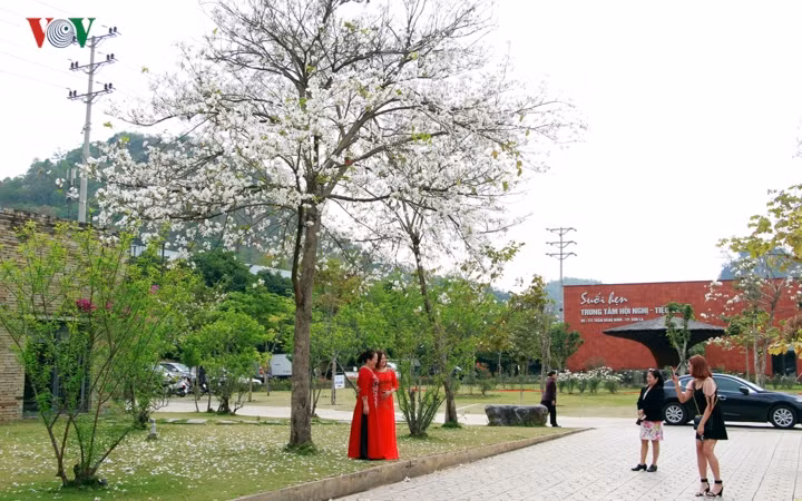 Tạo dáng cùng Ban trắng tại Nhà hàng Suối Hẹn.